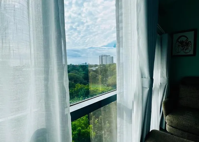 Apartment Enter With Nature View
